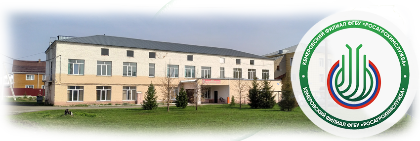 Главная